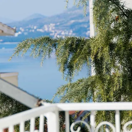 Nikola Trogir